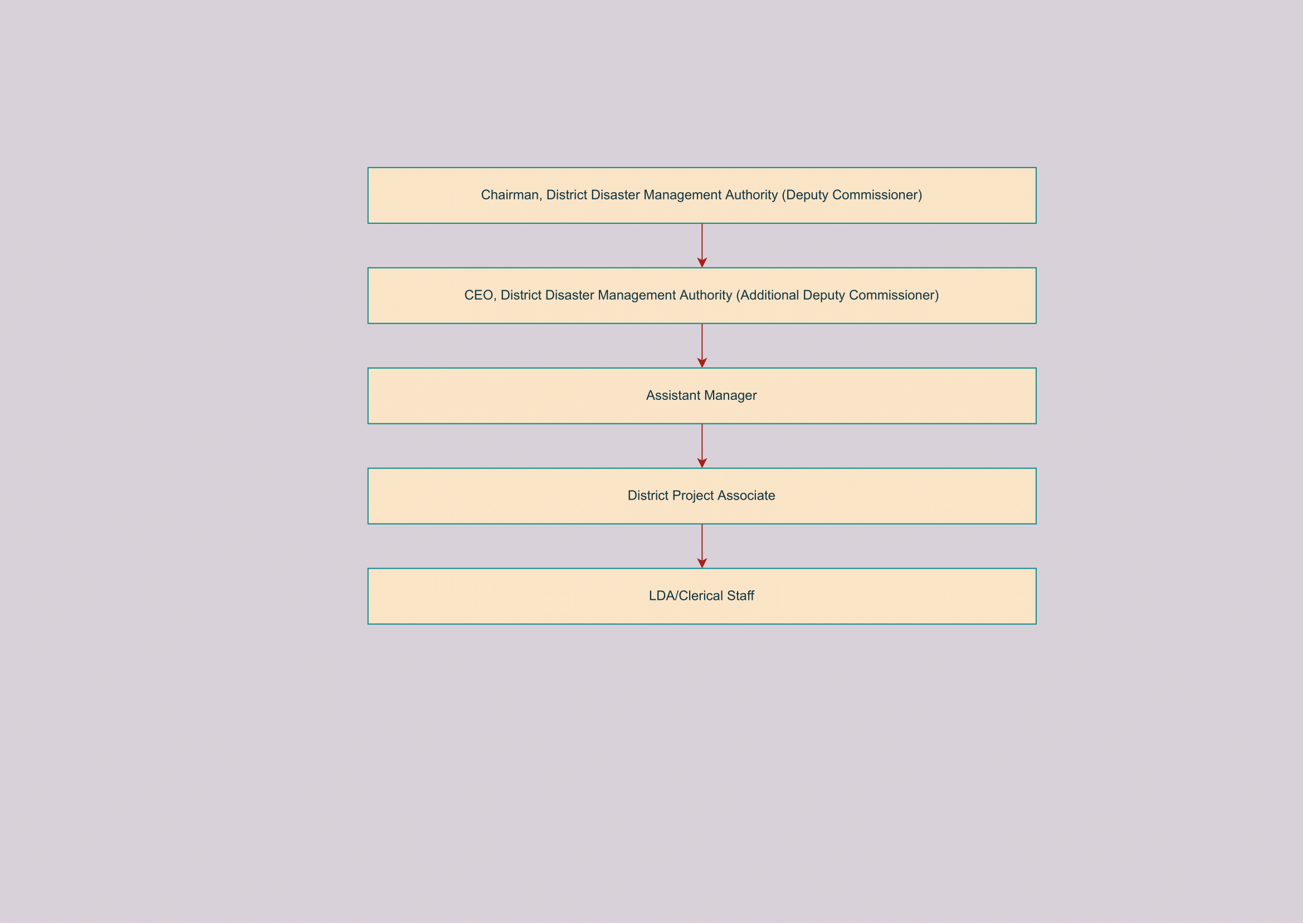 District DDMA organogram