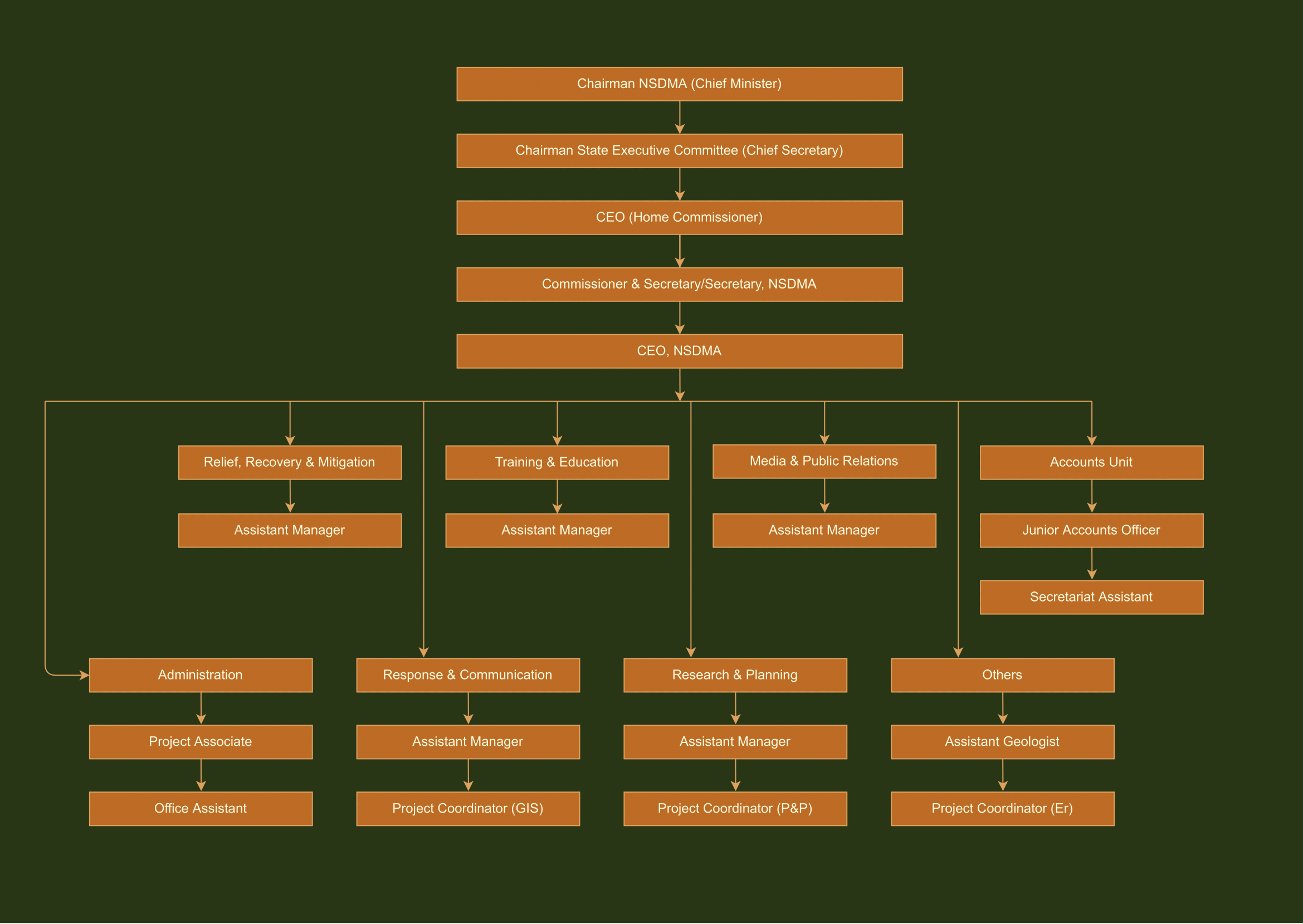 Nagaland SDMA organogram